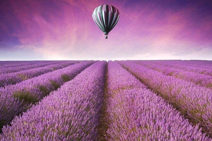Beijing Day Tour: Mutianyu Great Wall & Oriental Provence Lavender Manor