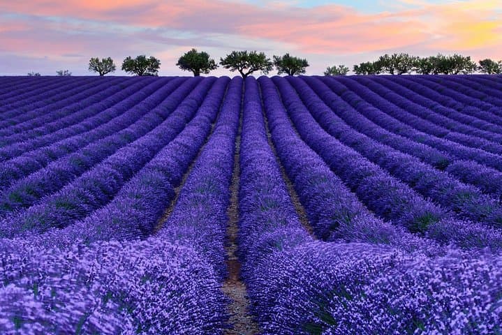 Beijing Day Tour: Mutianyu Great Wall & Oriental Provence Lavender Manor photo 3
