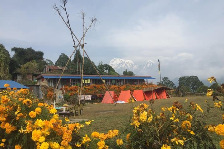 Mardi Himal Trek: 7-Day Teahouse Route to Close-Up Annapurna Views photo 3