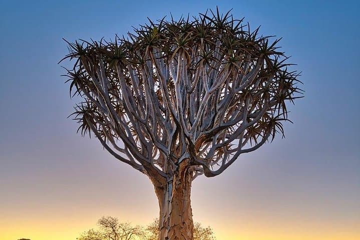 15-Day Self-Drive Through Namibia: Dunes, Wildlife & Coastal Skies photo 6