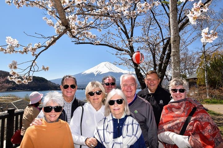 Mt Fuji & Hakone Private Day Tour from Tokyo — Lakes, Springs & Panoramic Views photo 2