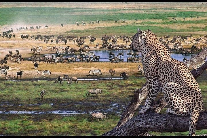 2-Day Camping Safari: Tarangire to Ngorongoro Crater photo 4