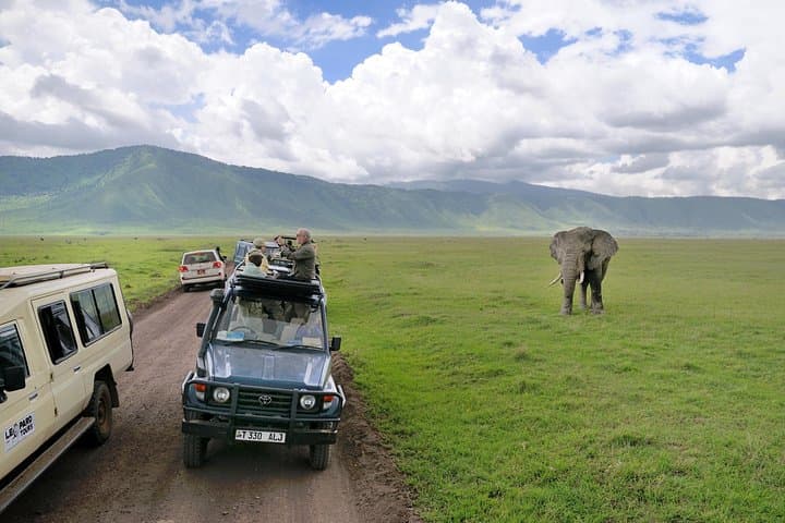 2-Day Camping Safari: Tarangire to Ngorongoro Crater photo 6