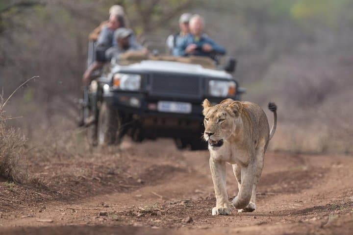 5-Day Luxury Lesotho, Drakensberg and Big-5 Safari from Durban photo 5