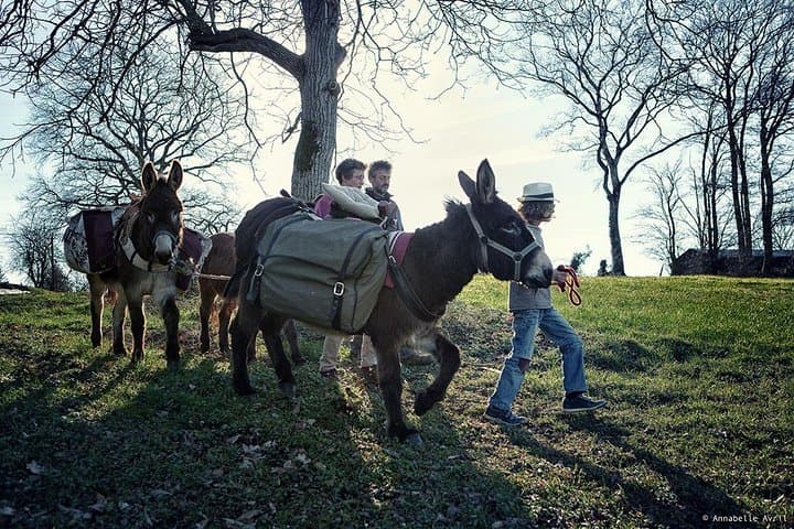 Donkey Hikes in Pays de Mélusine — Guided Walks from the Grotte aux Fées photo 1