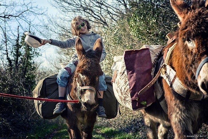 Donkey Hikes in Pays de Mélusine — Guided Walks from the Grotte aux Fées photo 2