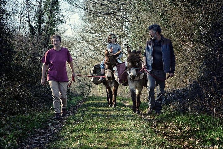 Donkey Hikes in Pays de Mélusine — Guided Walks from the Grotte aux Fées photo 3