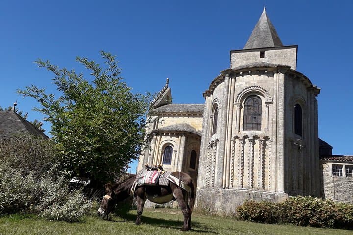 Donkey Hikes in Pays de Mélusine — Guided Walks from the Grotte aux Fées photo 4
