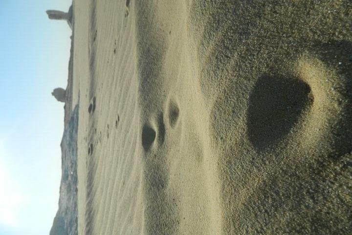 2-Day White Desert Adventure from Bahariya Oasis — Camping in Egypt’s Chalk Formations photo 4