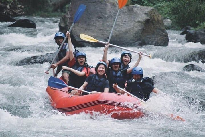 Ayung River Rafting in Ubud: Half-Day Jungle Whitewater Adventure photo 3