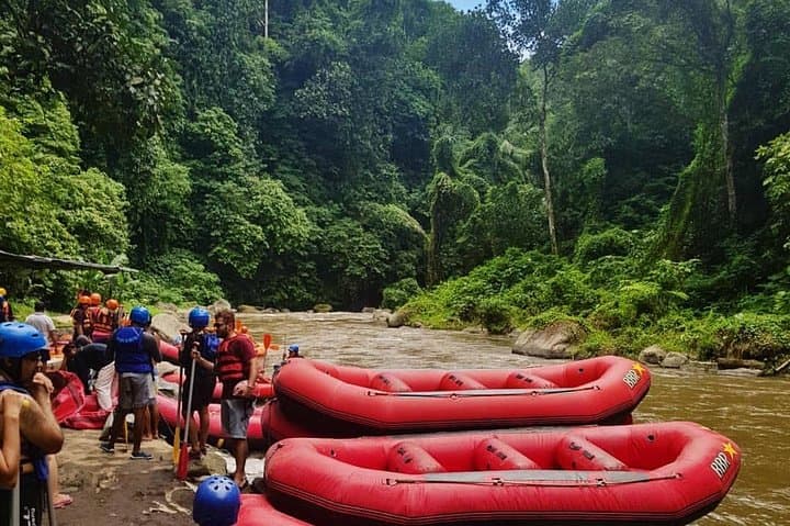 Ayung River Rafting in Ubud: Half-Day Jungle Whitewater Adventure photo 4