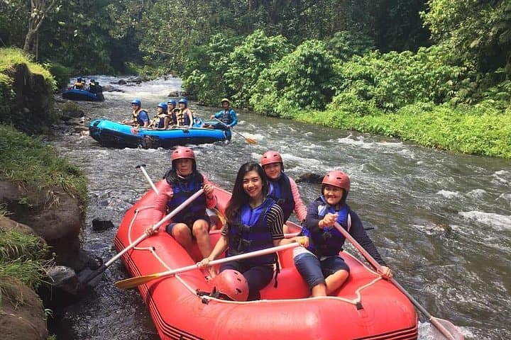 Ayung River Rafting in Ubud: Half-Day Jungle Whitewater Adventure photo 6