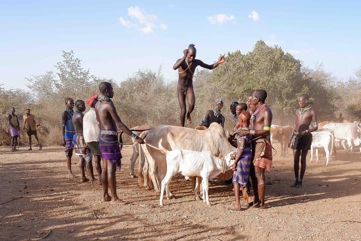 South Omo Valley 4-Day Cultural Safari: Tribes, Omo River & Mago Park