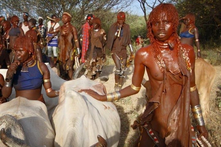 South Omo Valley 4-Day Cultural Safari: Tribes, Omo River & Mago Park photo 2