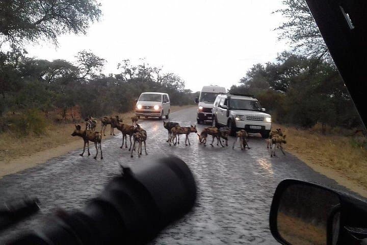 3-Day Kruger National Park Safari: Big Five, Blyde River Canyon & Campfire Nights photo 4