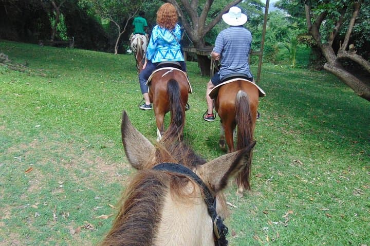 St. Lucia Historical Horseback Riding: Ruins, Rainforest and Beach Swim photo 4