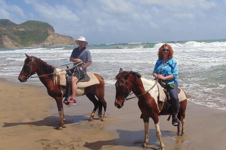 St. Lucia Historical Horseback Riding: Ruins, Rainforest and Beach Swim photo 5