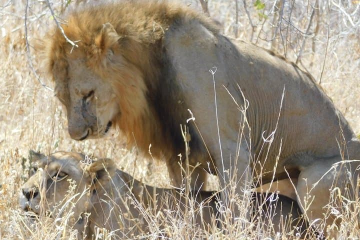 Trekking Tanzania's Southern Circuit: Nyerere (Selous) & Udzungwa Mountain Trails photo 2