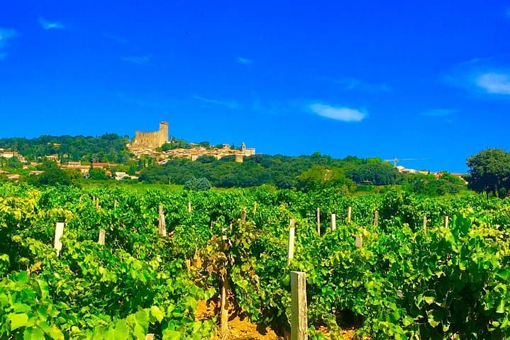 Half-Day Provence Cru Wine Tour from Avignon — Châteauneuf-du-Pape & Gigondas Tastings photo 3