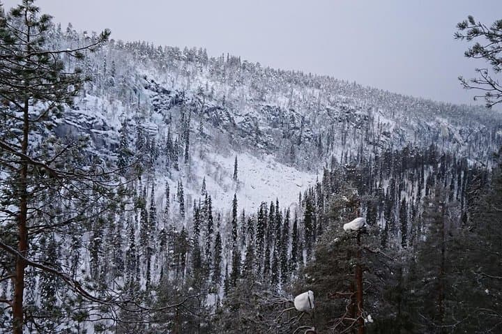Korouoma Canyon and Ranua Zoo Day Tour from Rovaniemi photo 1