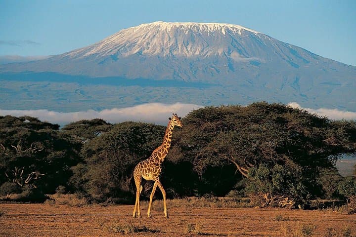 7-Day Kilimanjaro Machame Route: Summit Trek from Moshi