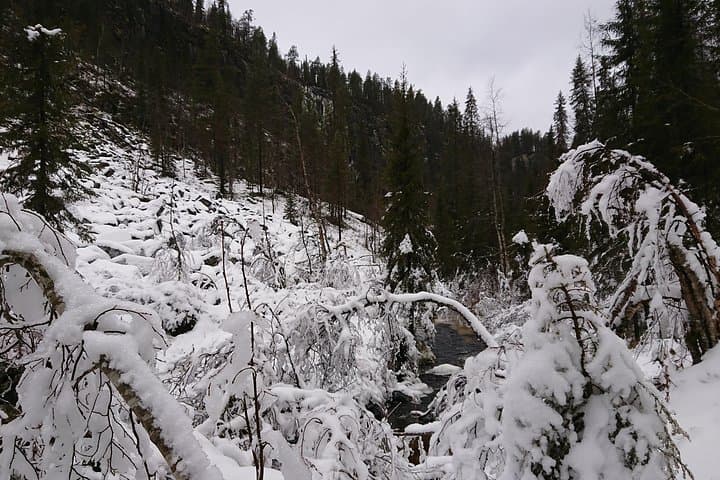 Korouoma Canyon and Ranua Zoo Day Tour from Rovaniemi photo 4