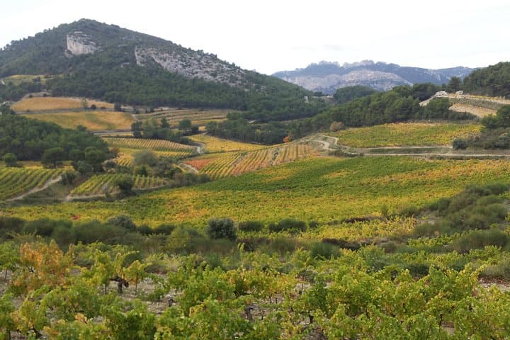 Half-Day Provence Cru Wine Tour from Avignon — Châteauneuf-du-Pape & Gigondas Tastings