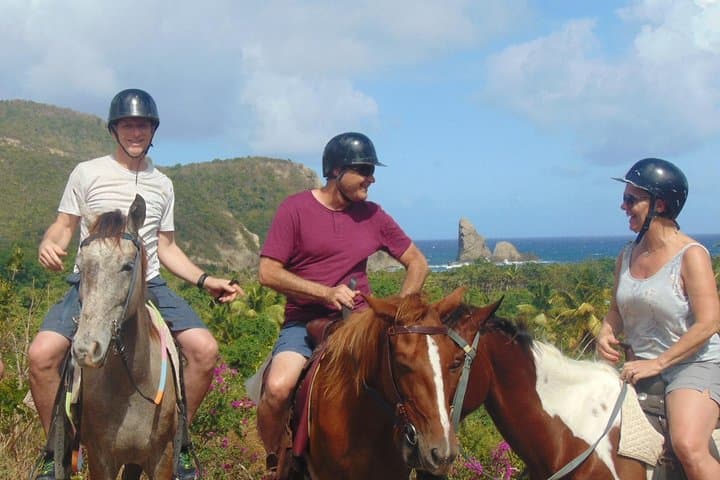 St. Lucia Historical Horseback Riding: Ruins, Rainforest and Beach Swim photo 3