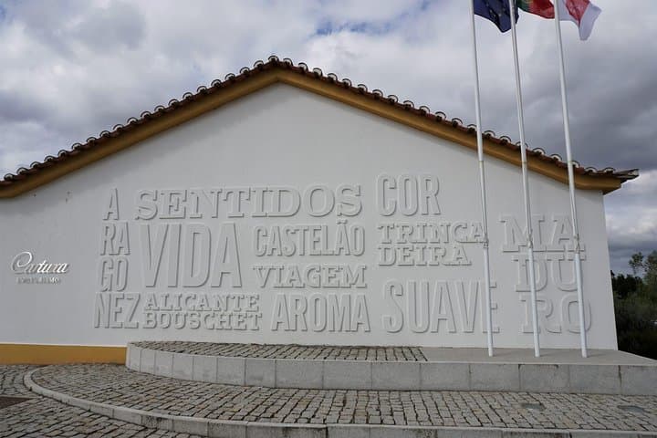 Alentejo Wine Route: Private Full-Day Wine Tour from Lisbon photo 4