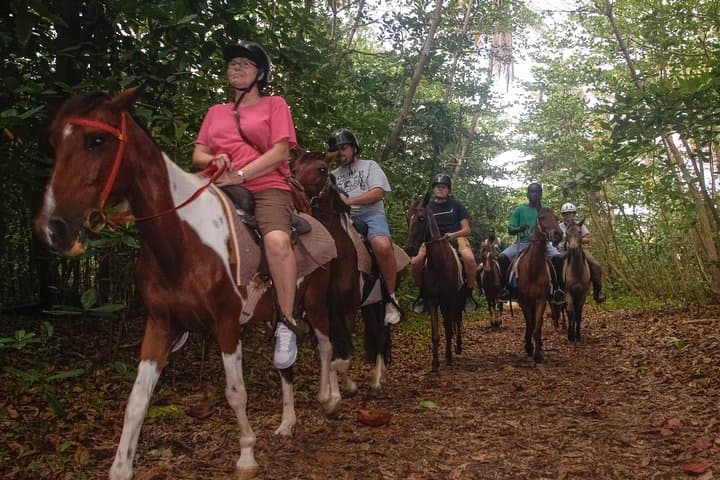 East Coast Horseback Riding and Dennery Waterfall Tour, St. Lucia photo 3