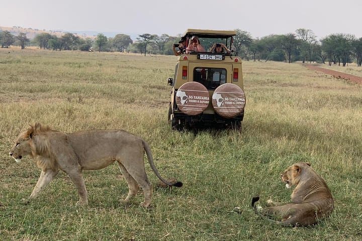 3-Day Northern Tanzania Safari: Lake Manyara, Ngorongoro & Tarangire
