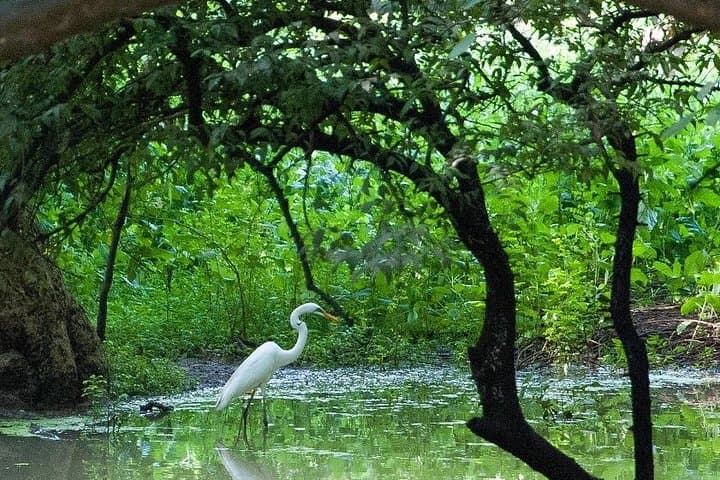 Golden Triangle India: 7-Day Private Tour with Bharatpur Bird Sanctuary photo 2