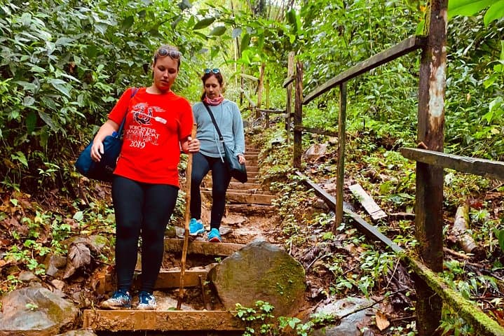 Seven Sisters Falls Hike — Annandale & Grand Etang Rainforest Lake Day Tour (Grenada) photo 4