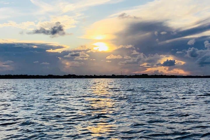 Majestic Nature Cruise: Dolphin & Manatee Tours on the Indian River Lagoon photo 6