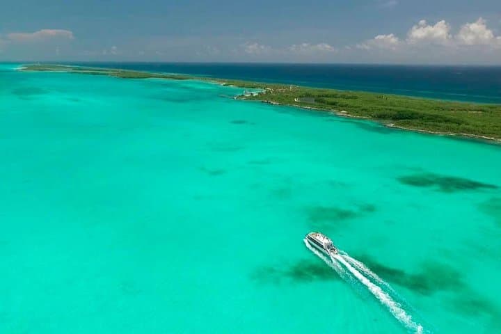 Isla Contoy & Isla Mujeres Day Trip from Cancun — Snorkel, Birding and Beach Time photo 2