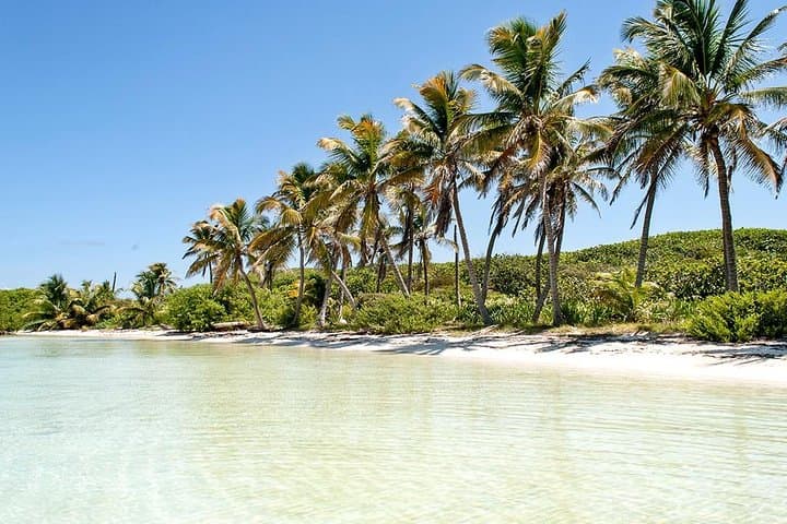 Isla Contoy & Isla Mujeres Day Trip from Cancun — Snorkel, Birding and Beach Time photo 5