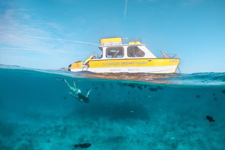 Private Half-Day Boat Charter & Snorkel in Grace Bay, Providenciales photo 4