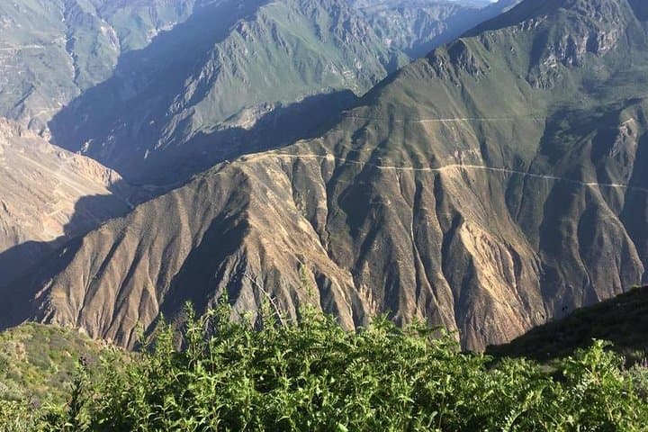 3-Day Colca Canyon Trek from Arequipa with Transfer to Puno photo 3