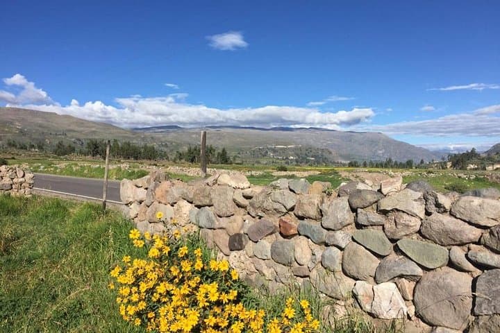 3-Day Colca Canyon Trek from Arequipa with Transfer to Puno photo 2