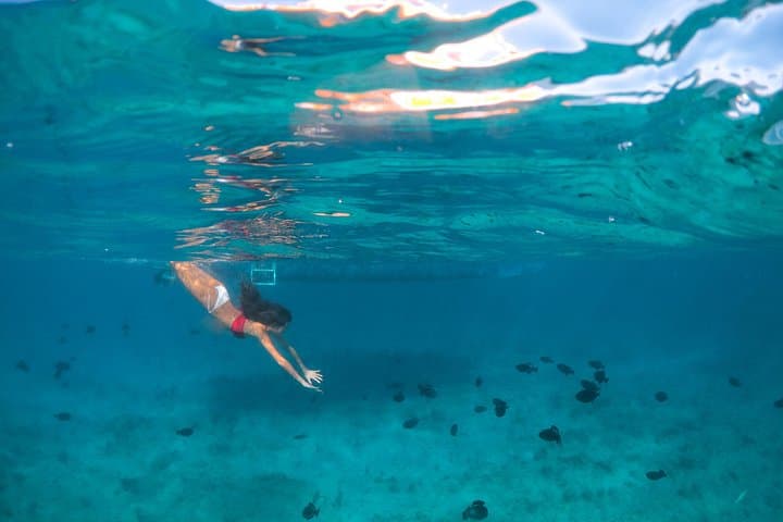 Morning Half-Day Snorkel Cruise to Iguana Island from Providenciales photo 2