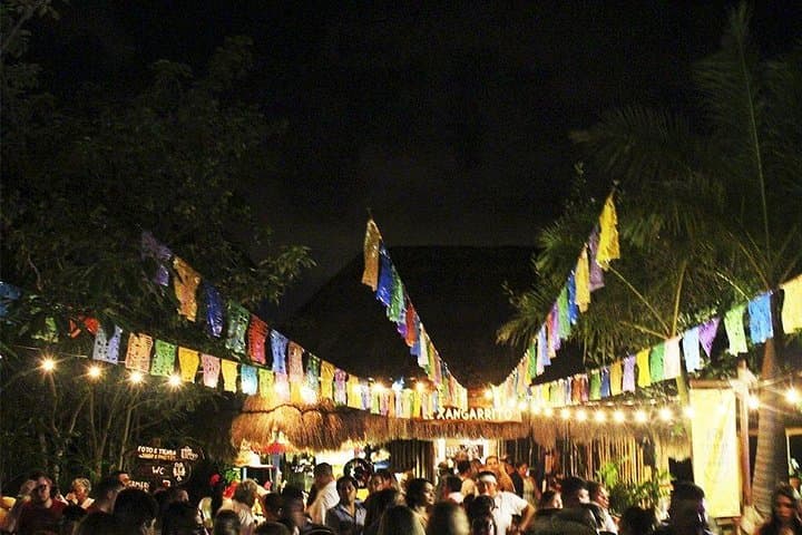 Xoximilco Cancun: Nighttime Trajinera Party with Dinner & Drinks photo 6