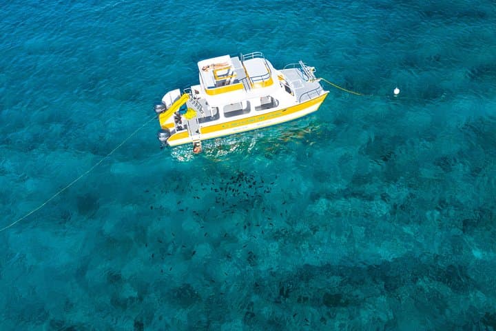Private Full-Day Boat Charter from Grace Bay: Snorkel, Conch & Island Hopping photo 6