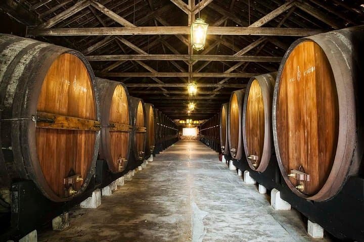 Alentejo Wine Route: Private Full-Day Wine Tour from Lisbon