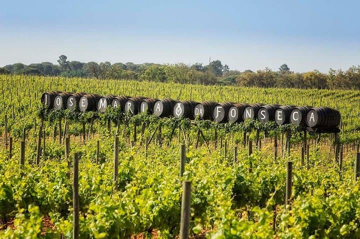 Alentejo Wine Route: Private Full-Day Wine Tour from Lisbon photo 5