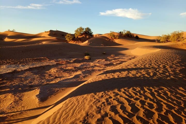 2-Day Sahara Trek from M'Hamid: In the Footsteps of Beetles photo 6