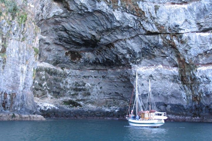 Historic Fox II Sailing in Akaroa Harbour — Hector's Dolphins & Coastal Wildlife Tour photo 4