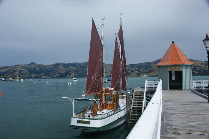 Historic Fox II Sailing in Akaroa Harbour — Hector's Dolphins & Coastal Wildlife Tour photo 6