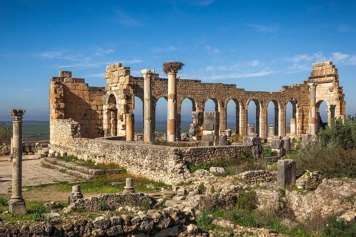 From Fez to Volubilis and Meknes: A Private Day Trip to Roman Ruins and Imperial Gates