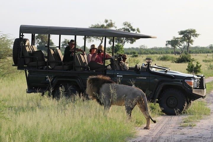 Chobe Day Trip from Livingstone: River Cruise and Big-Game Safari in Chobe National Park