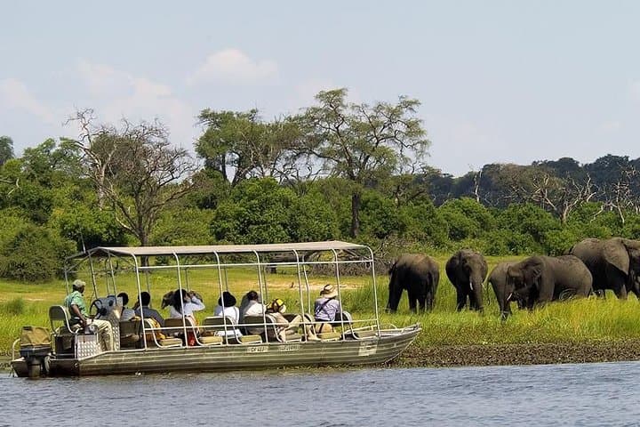 Chobe Day Trip from Livingstone: River Cruise and Big-Game Safari in Chobe National Park photo 2